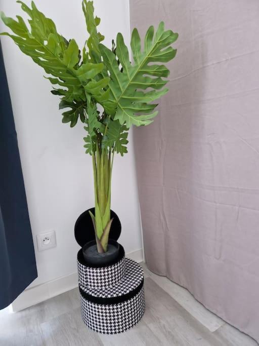 Apartment 【】le Prestigieux【】 ,